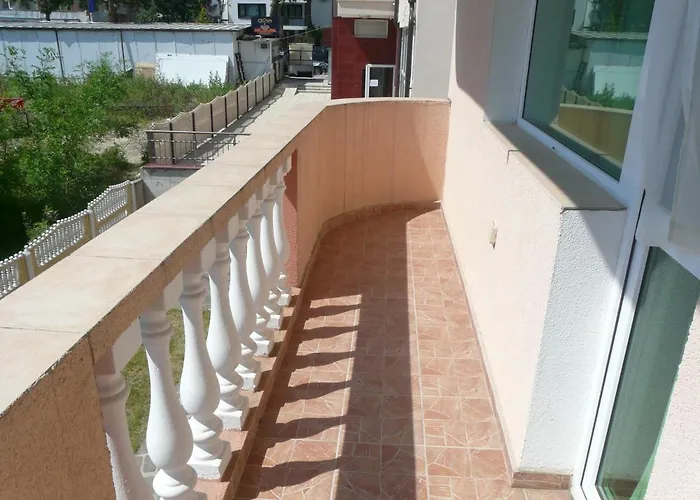 семеен детелини 2*