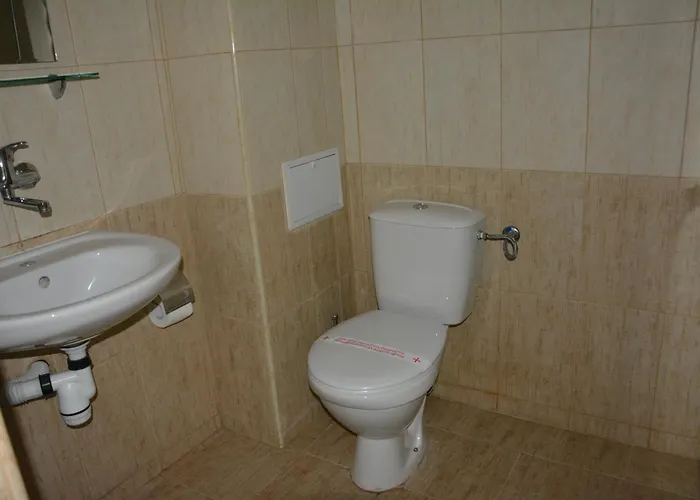 Otel семеен детелини